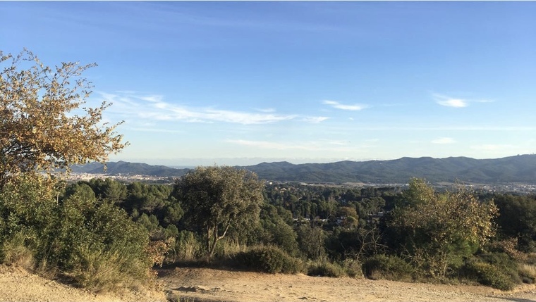 Malibu Fox cover image