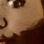 Elizabeth avatar