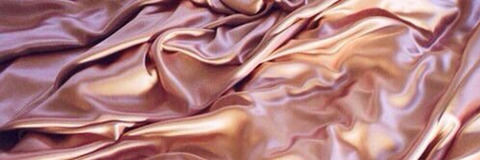 Lexi cover image