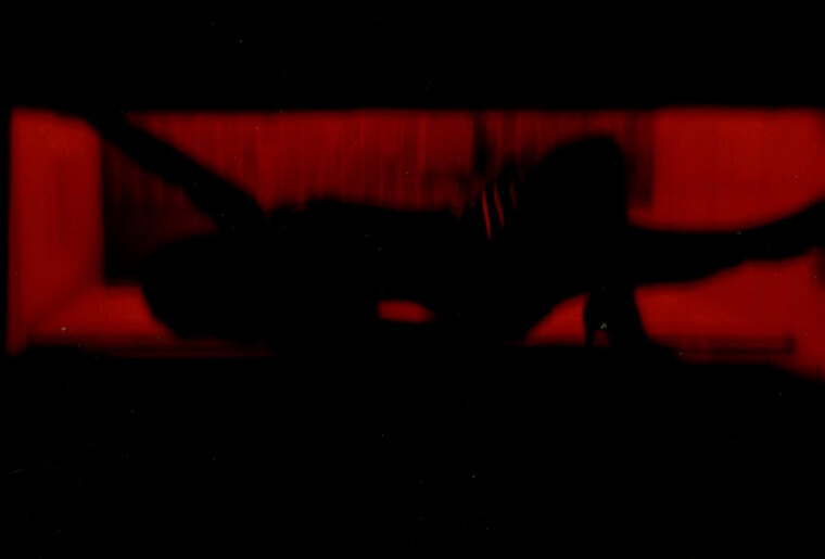 Mamii Red🍒 banner image