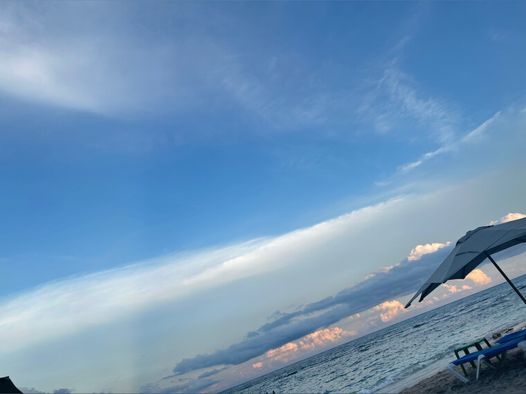 marie banner image