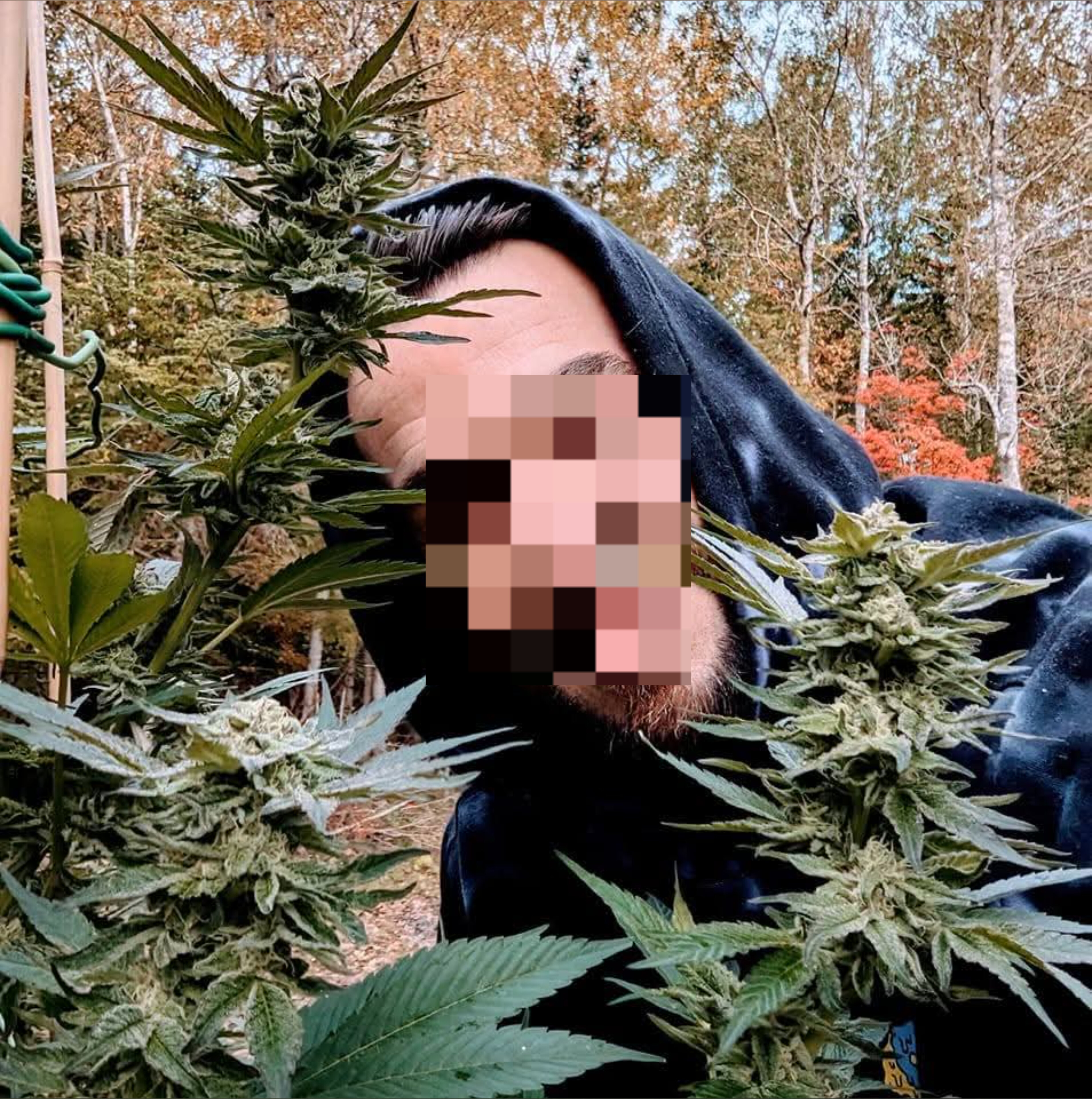 G๐ banner image