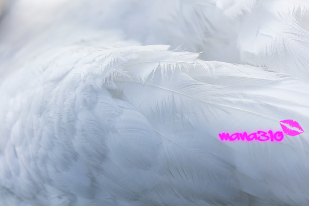 mana310 banner image
