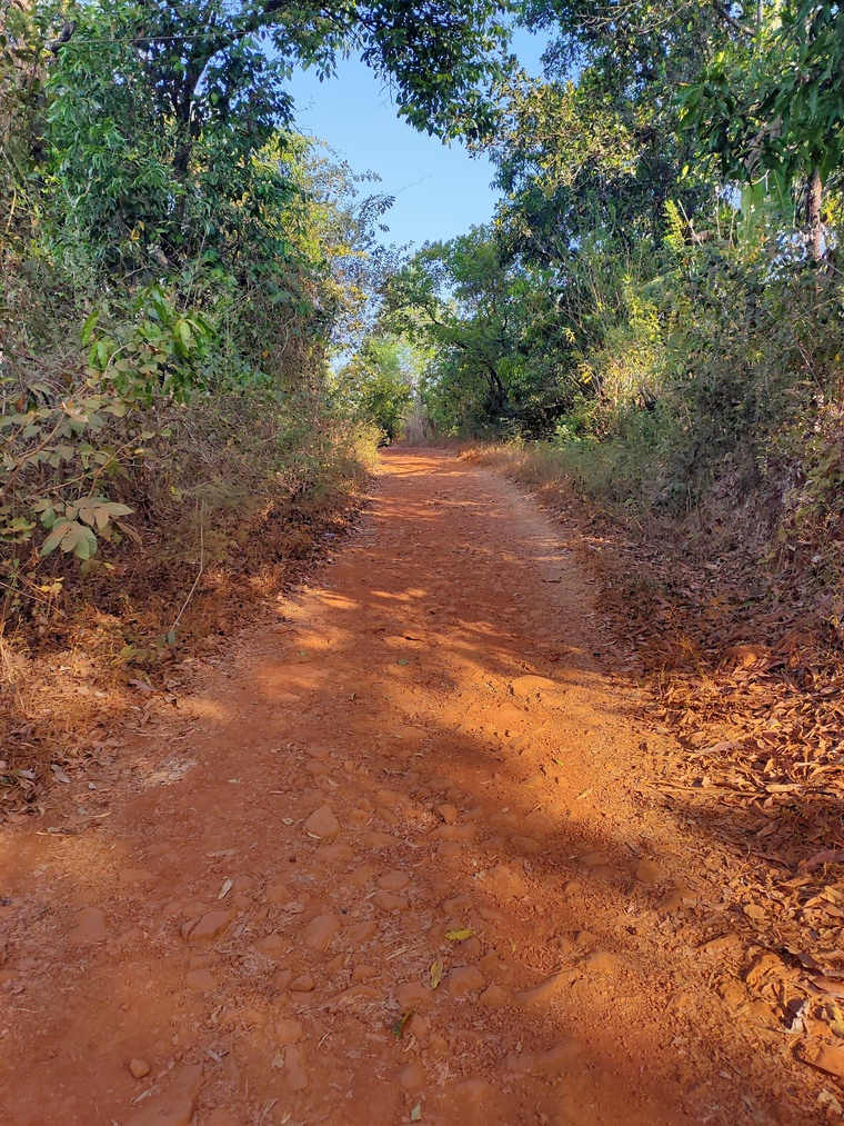 Mandar Khamkar cover image