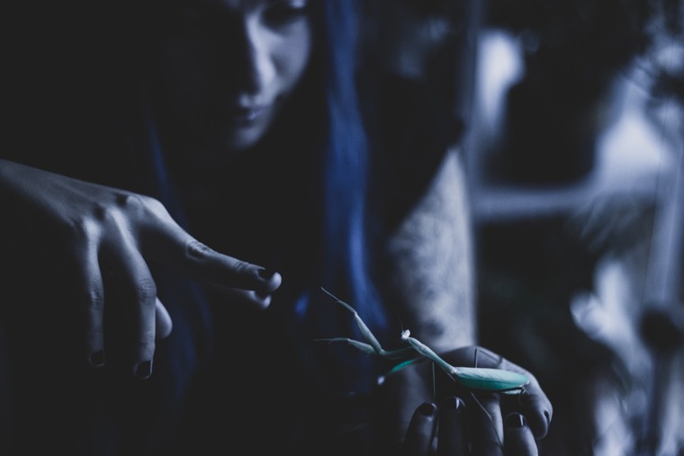 Mantis Mina banner image