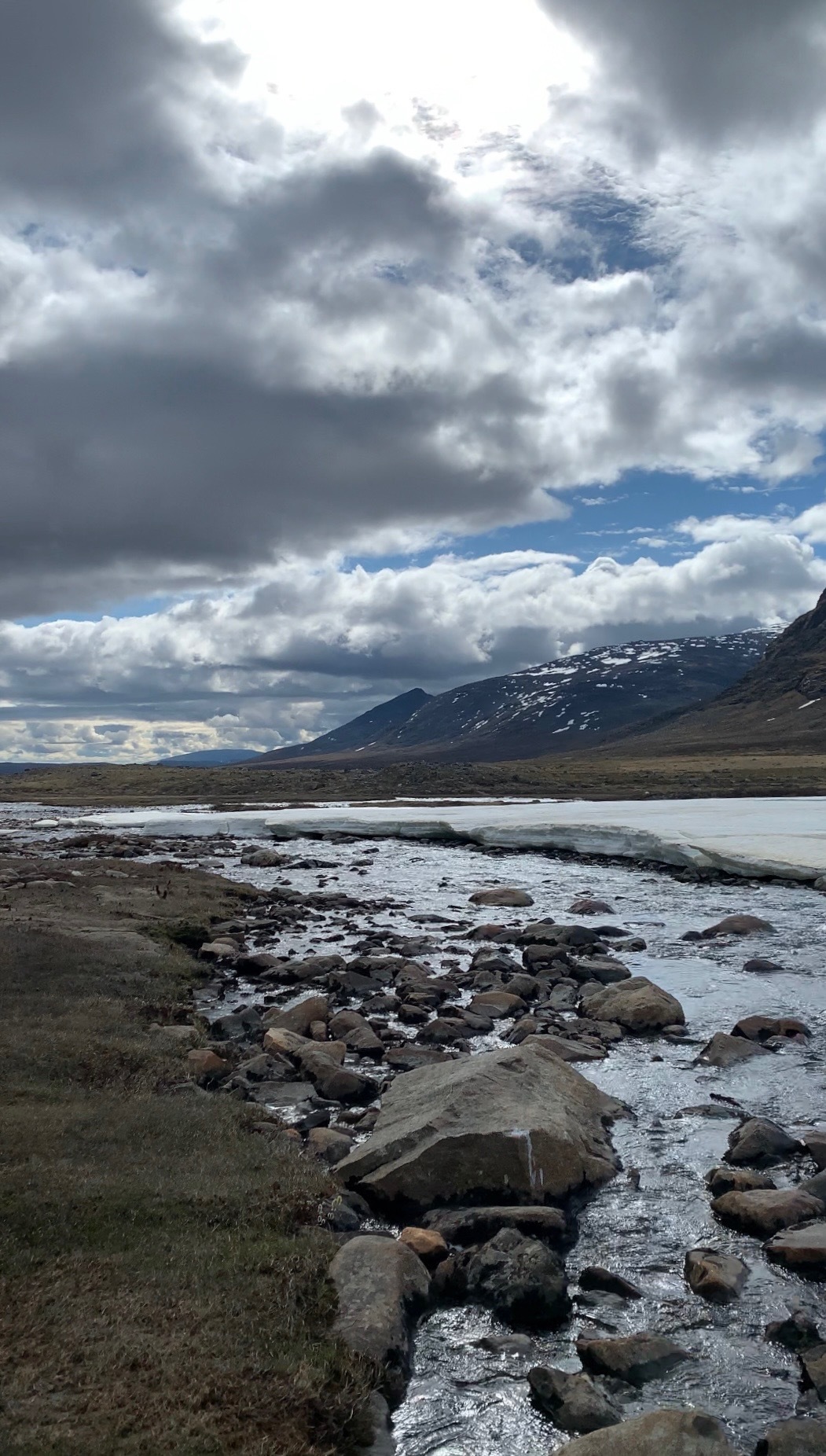 Eemeli banner image