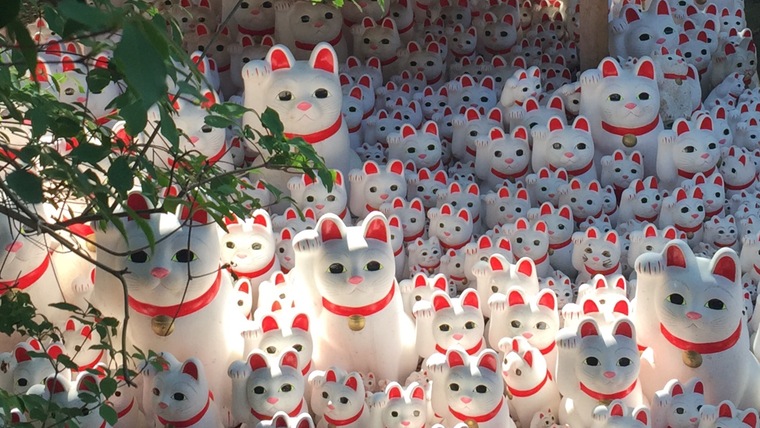 ♡Maramiyyeh Neko♡ cover image