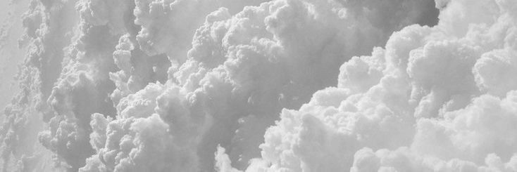 Mariana Castro banner image