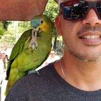 Marcello Rio de janeiro avatar