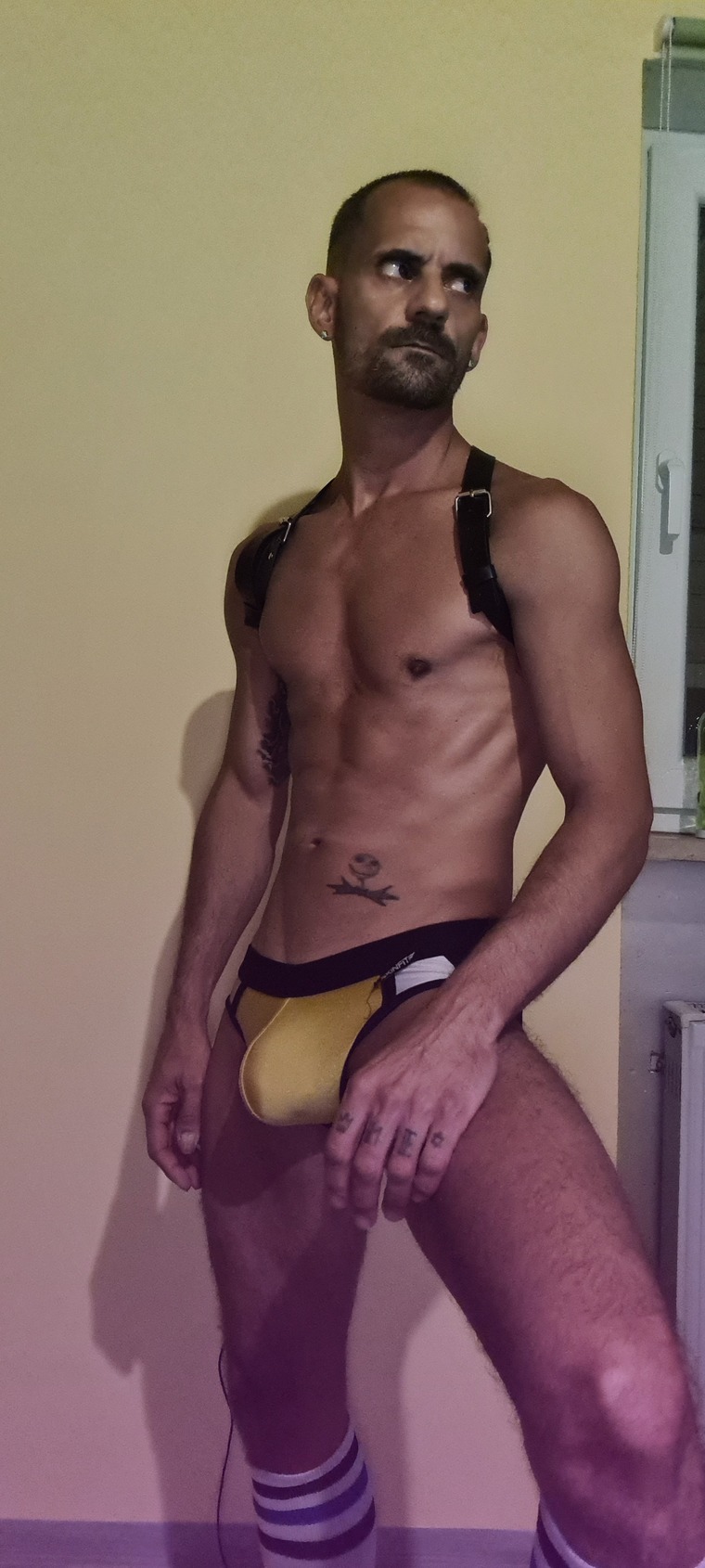 Marco Costa banner image