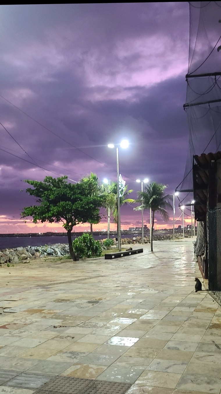 ESTER MARIANI DOS SANTOS cover image
