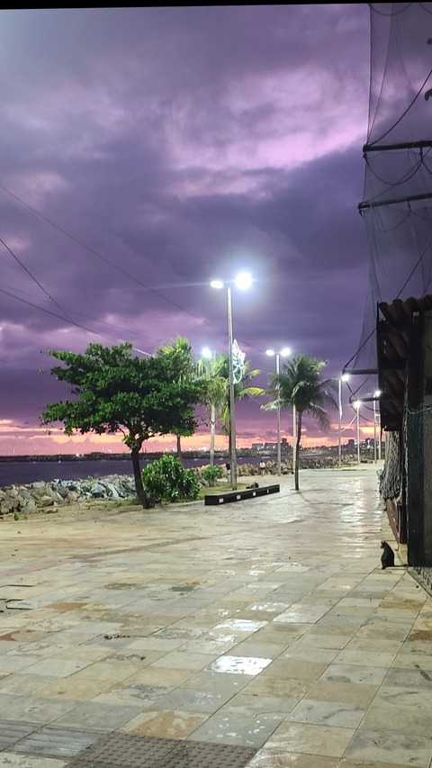 ESTER MARIANI DOS SANTOS cover image