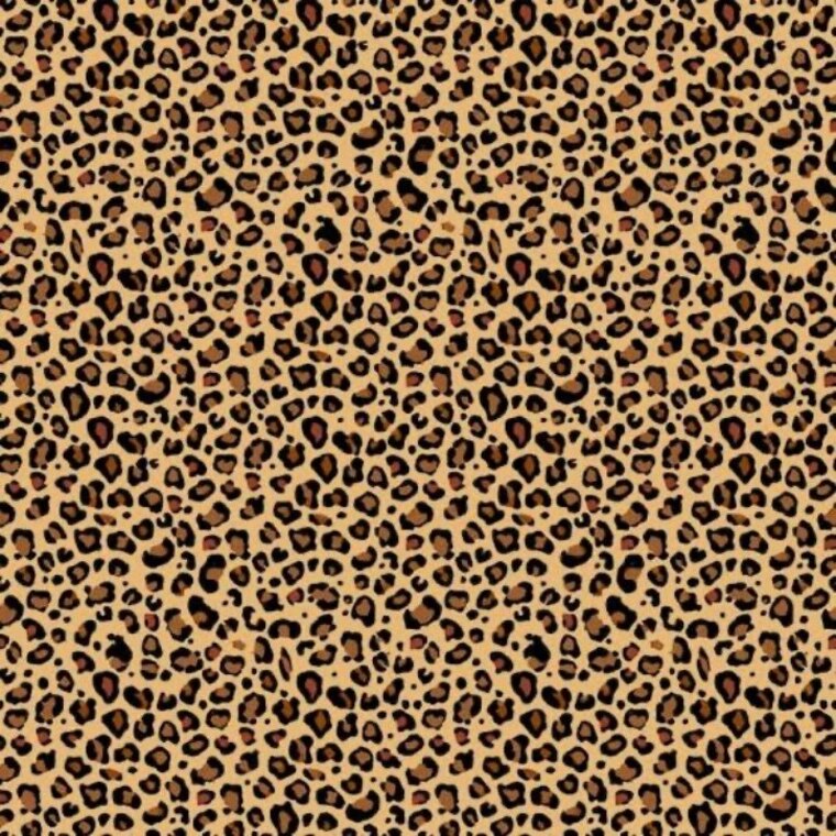 ๐ธ๐๐๐๐๐ ๐ท๐๐๐๐๐ cover image