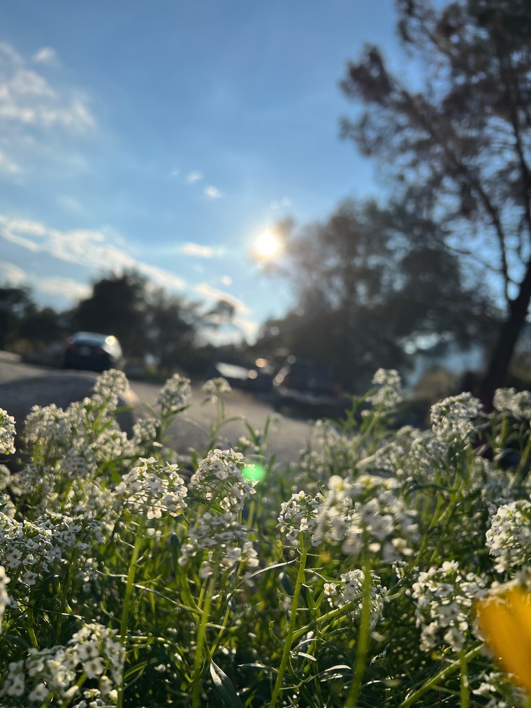 Marie C. cover image