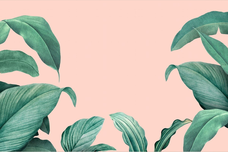 MsMariee cover image
