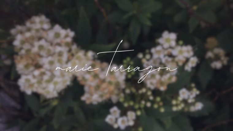 marie tarragon banner image