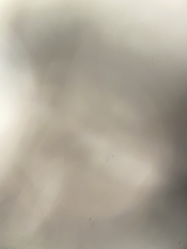 mariana banner image