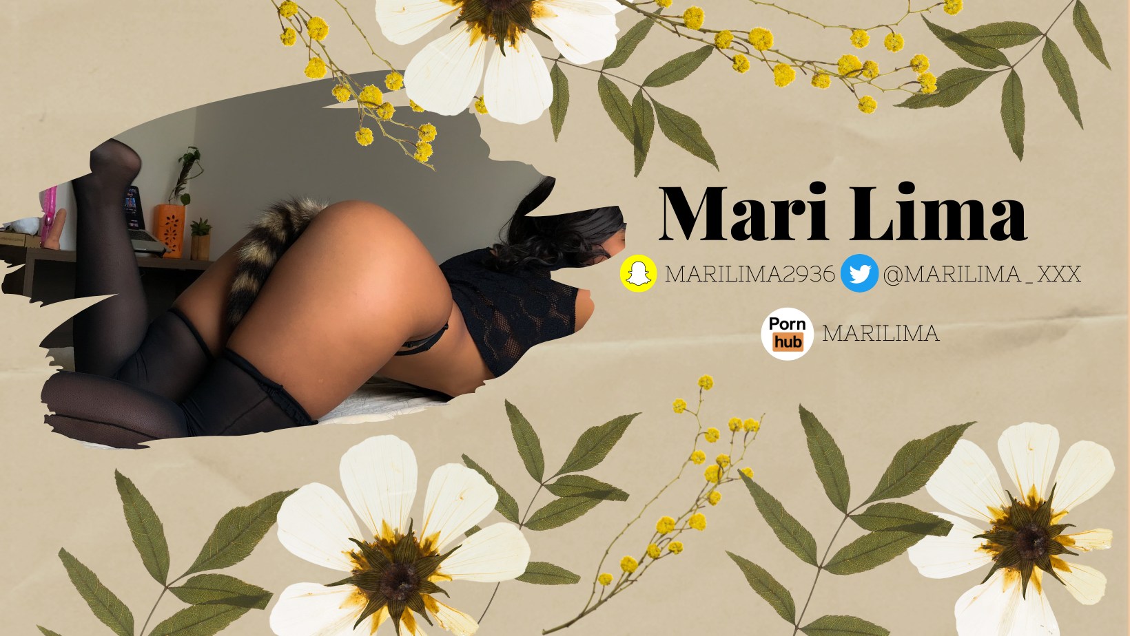 Mari Lima banner image