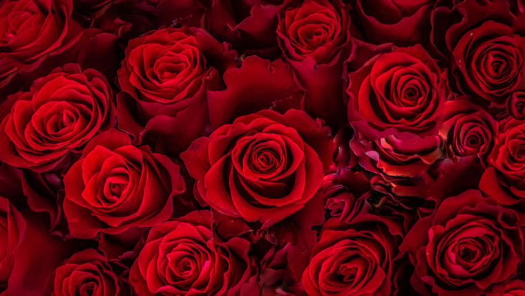 Marilyn García cover image