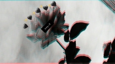 Marina dassy banner image