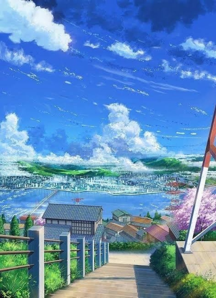 Marin banner image