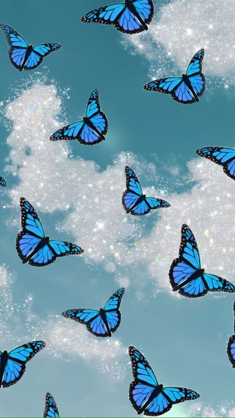 MariposaChiclosa🦋💙 cover image