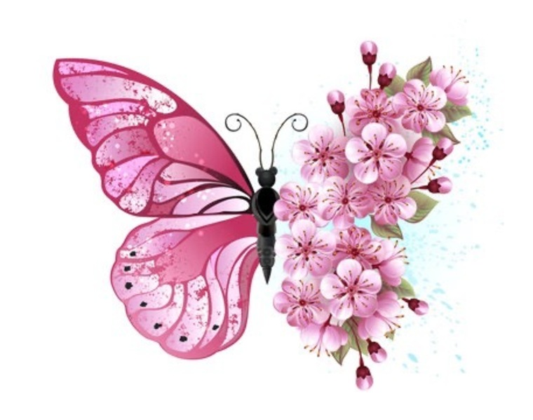 Mariposa cover image