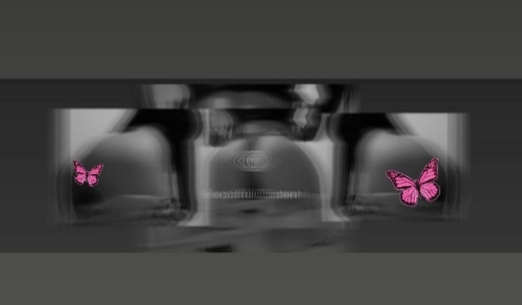 ๐ธ ๐ ๐ ๐ ๐ ๐ ๐ ๐ ๐ ๐ ๐ ๐ banner image