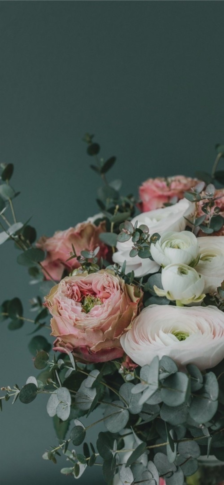 Maritafadnes cover image