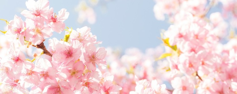 MarjattaMummu banner image