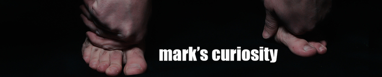 Mark's Curiosity cover image