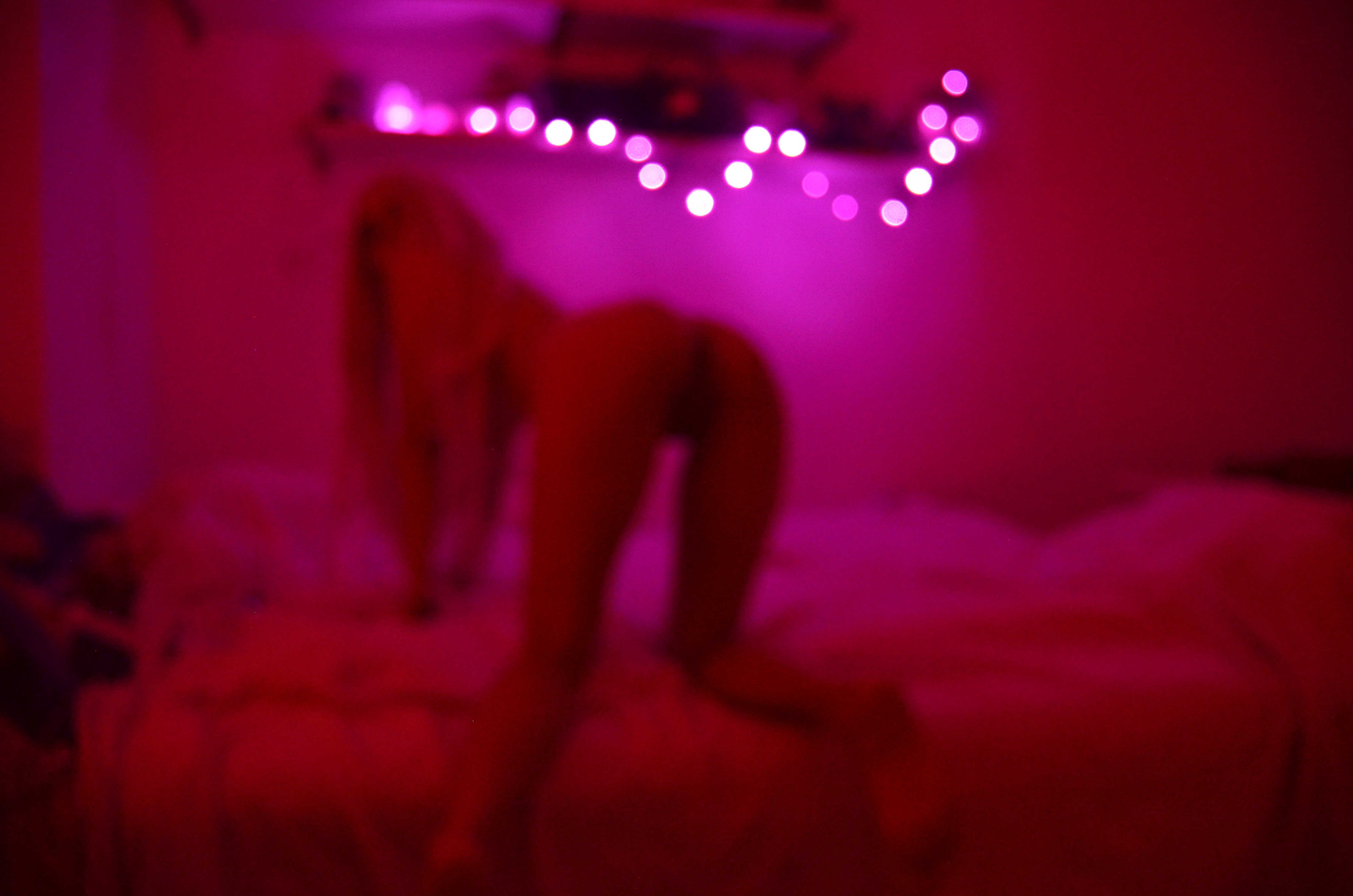 Marla Lugosi banner image