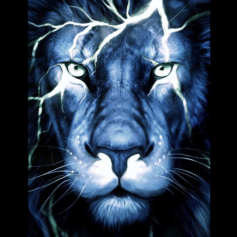 Marcos Calderon cover image