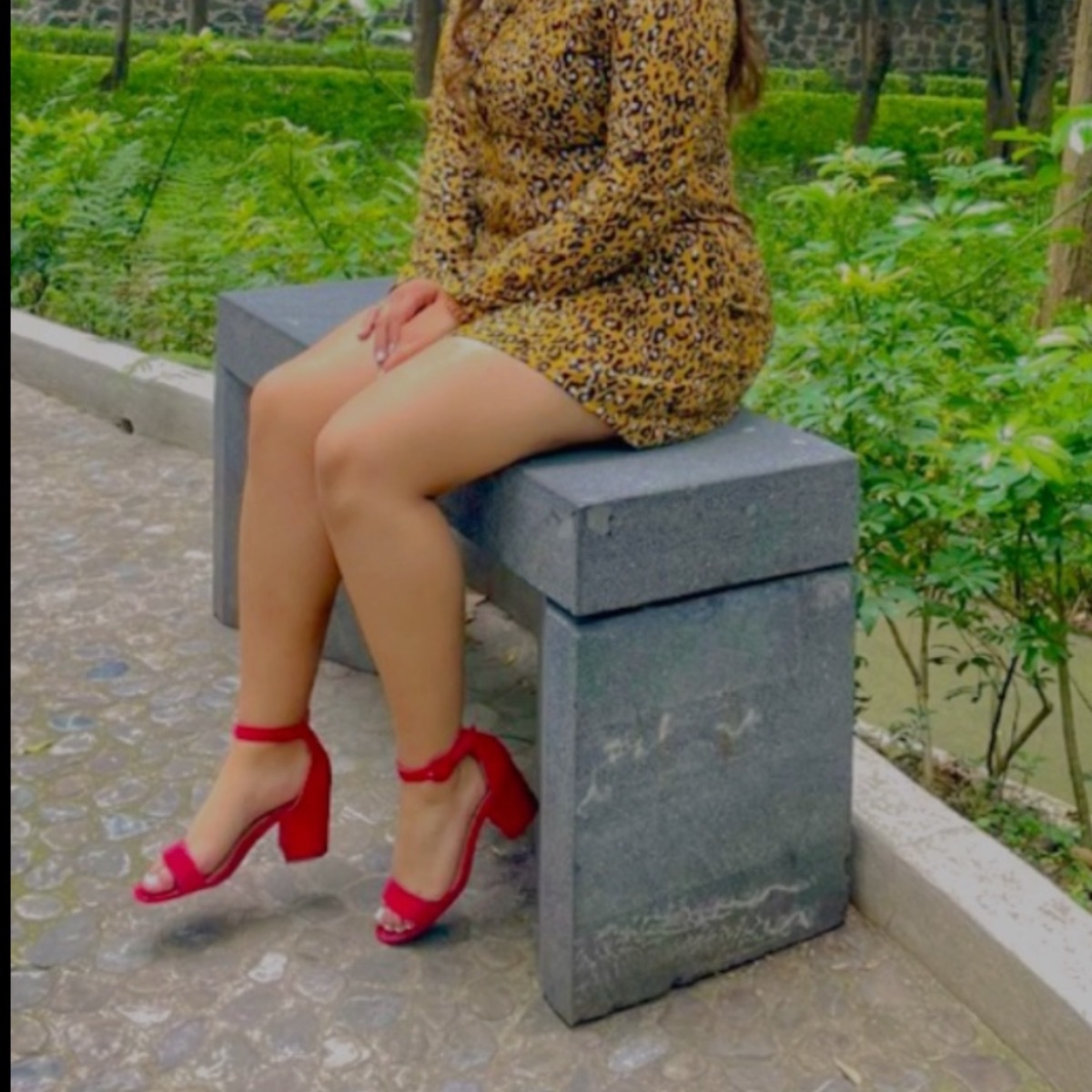 Marianita banner image
