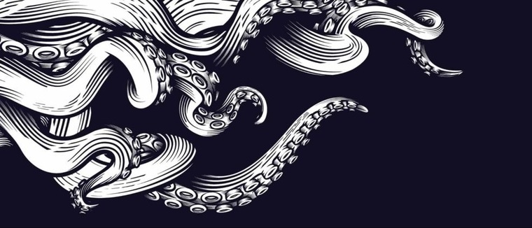Marsolace banner image