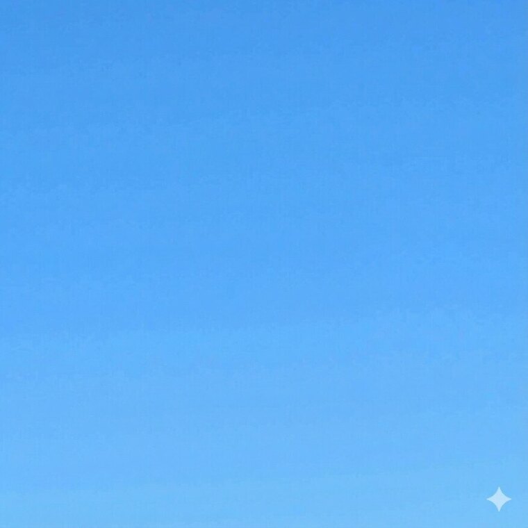 Martin Vega banner image
