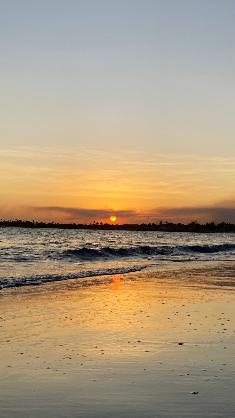 Maryfuego🌊🔥 banner image