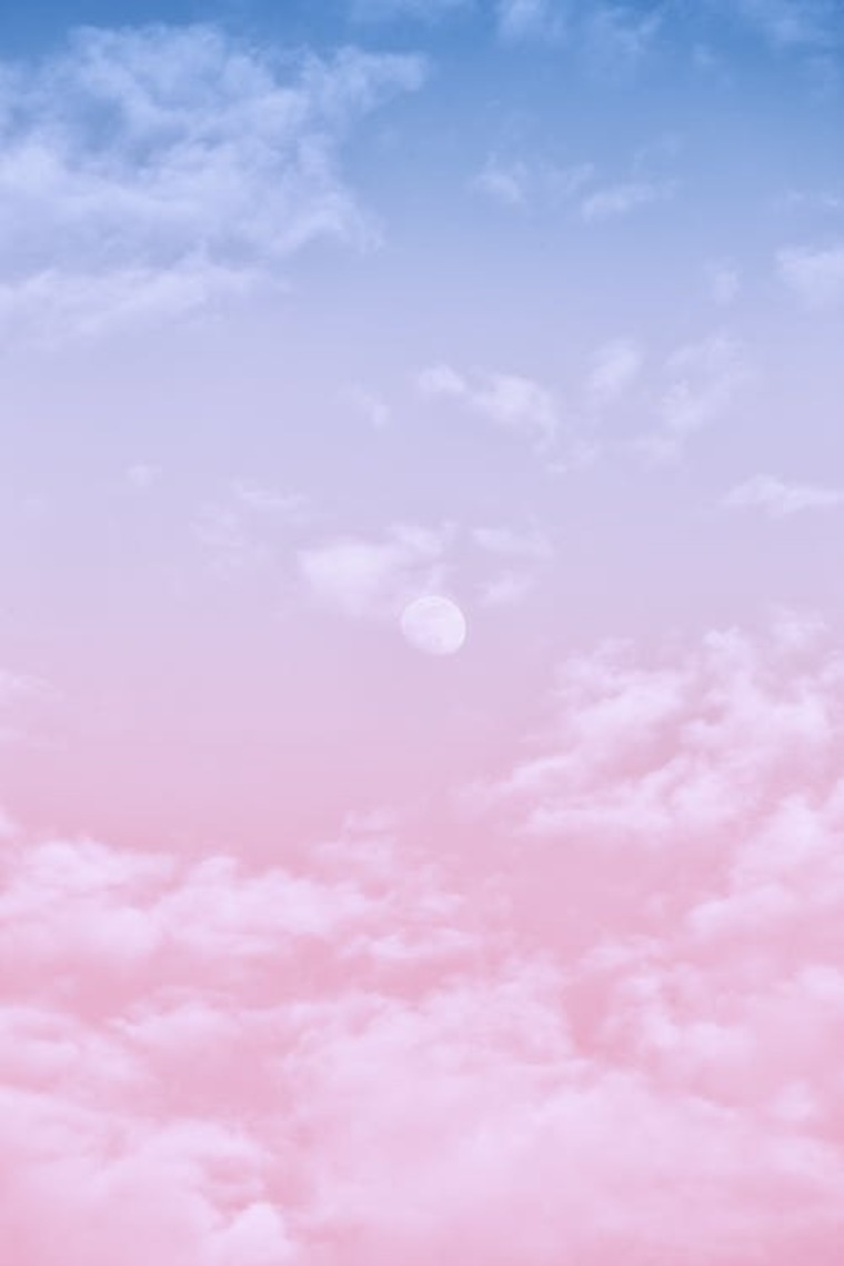 Nicole Barreto banner image