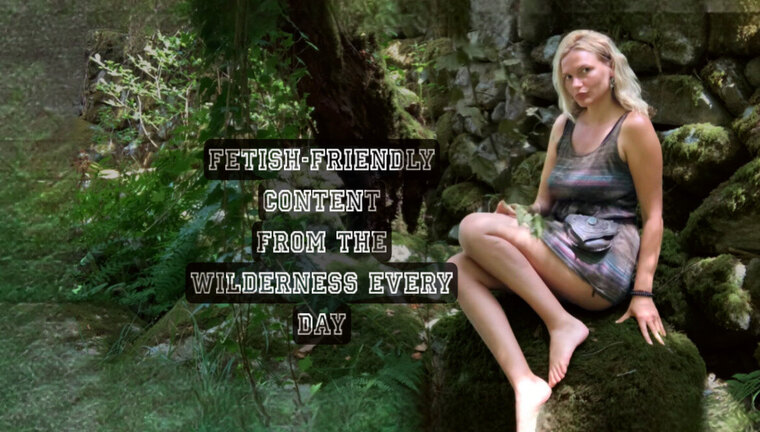 Wild&Free cover image