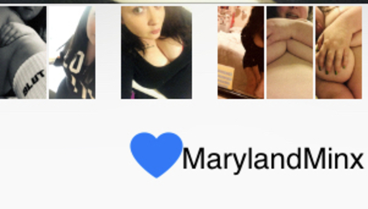 marylandminx banner image