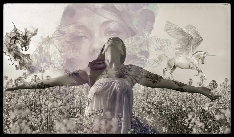 Mary_s_Garden banner image
