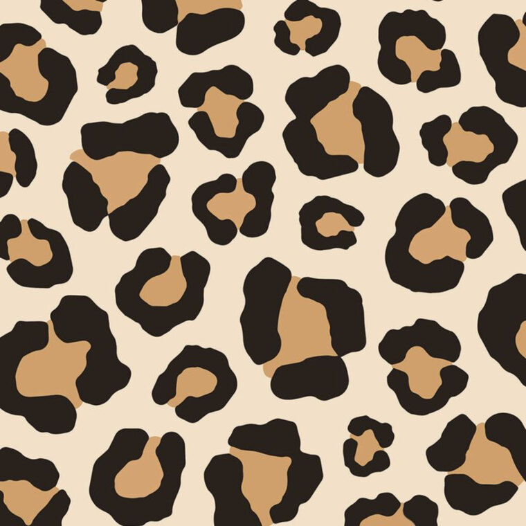 Masha banner image