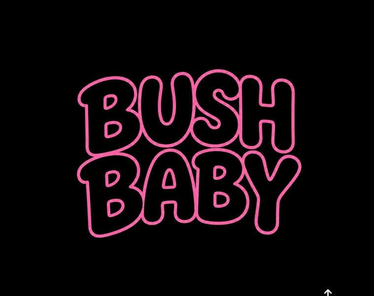 BUSH BABY banner image