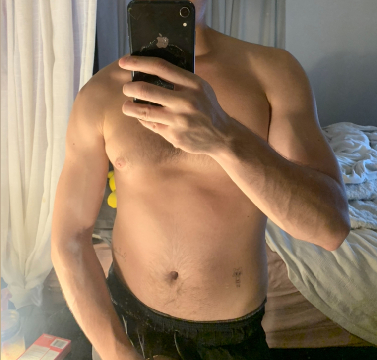 hoggtie banner image