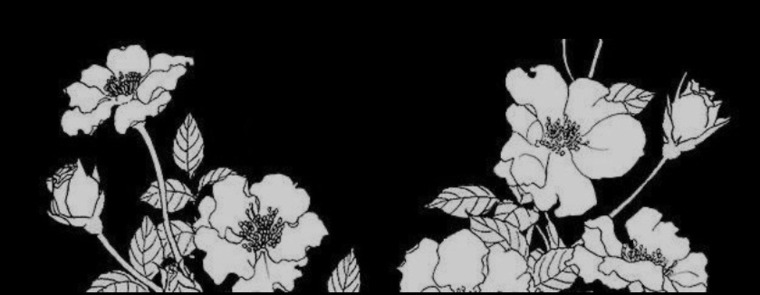 Mason Marley banner image