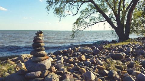 Massy cover image