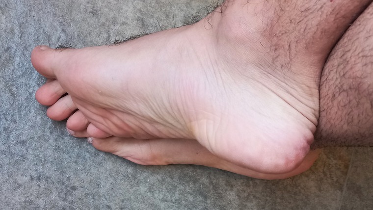 Master Latino cover image