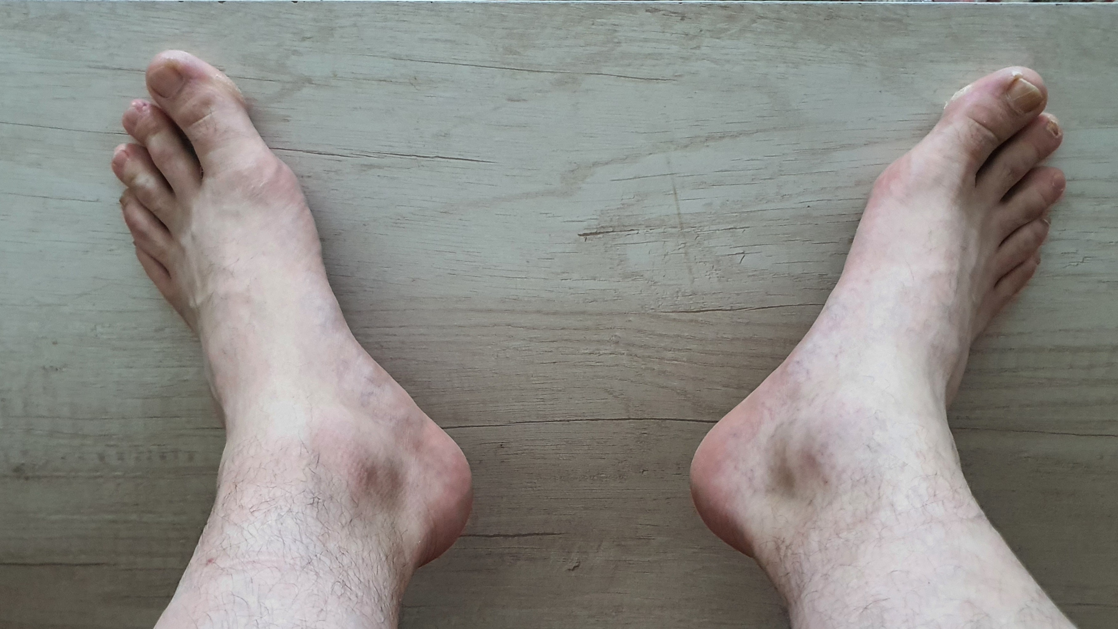 MisPiesSonTusPies!!! banner image