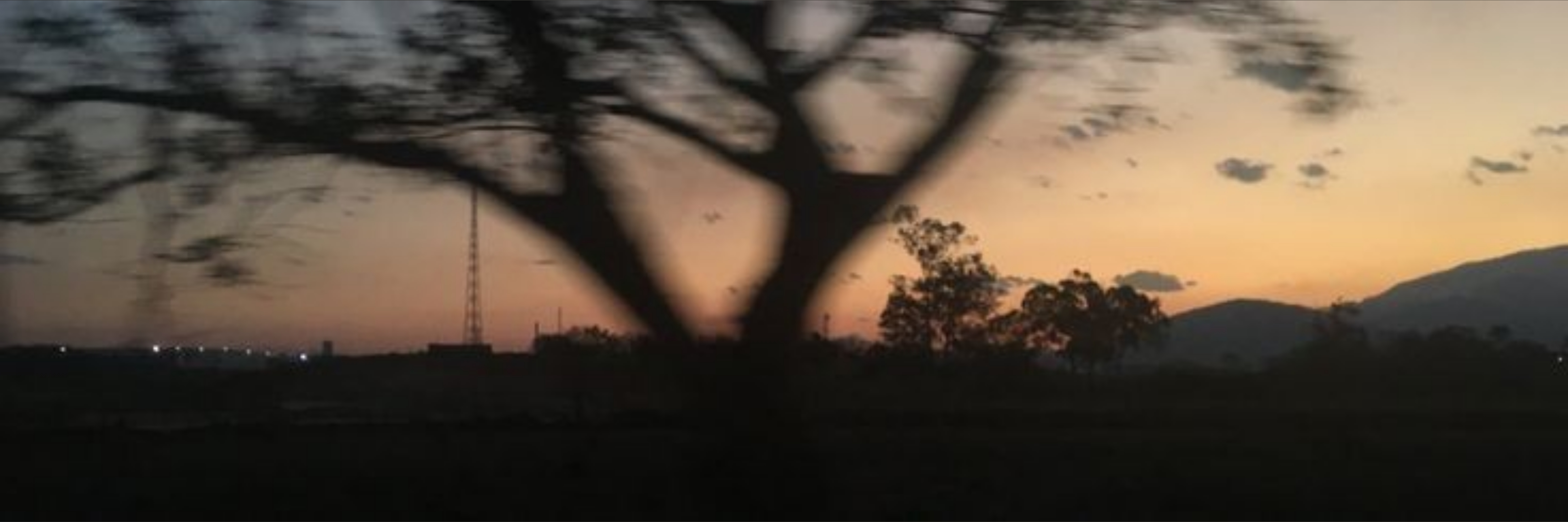 Mateo Carvajal banner image
