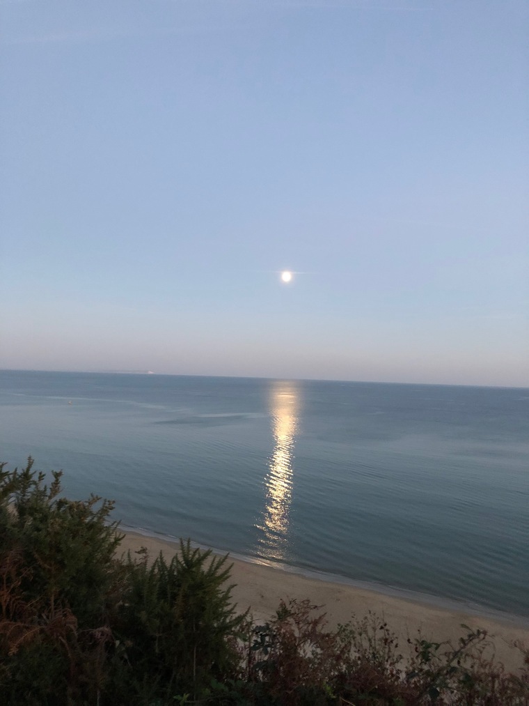 Matt cover image